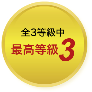 全3等級中最高等級3