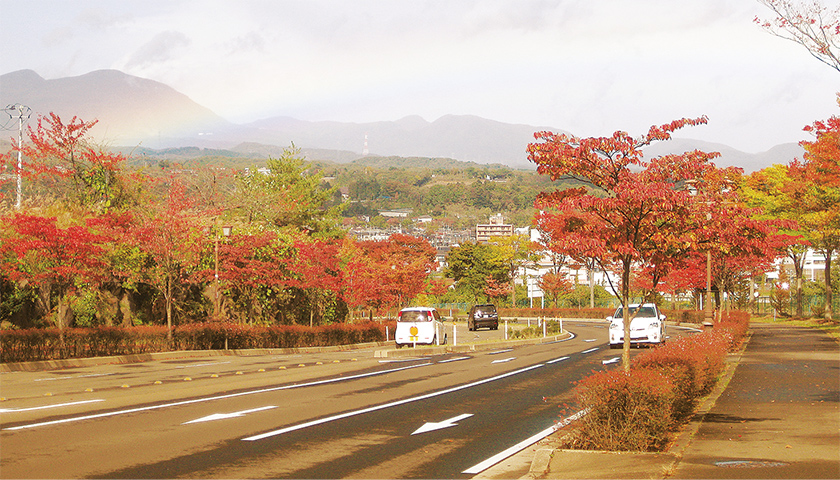 Photo Image