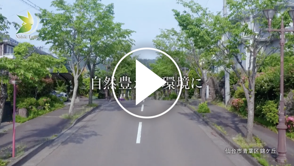 動画2