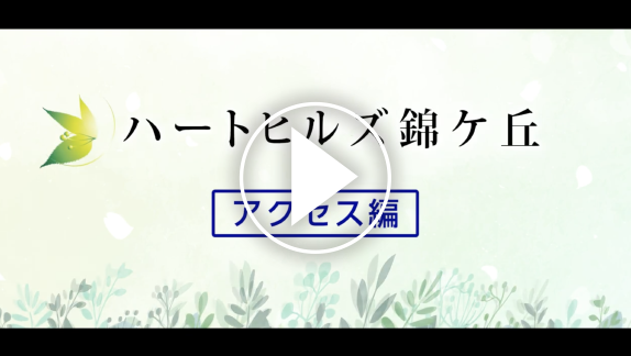 動画4
