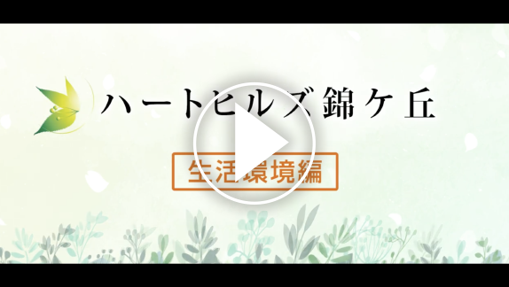動画5