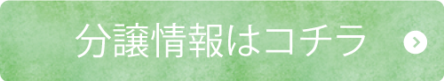 分譲情報はコチラ