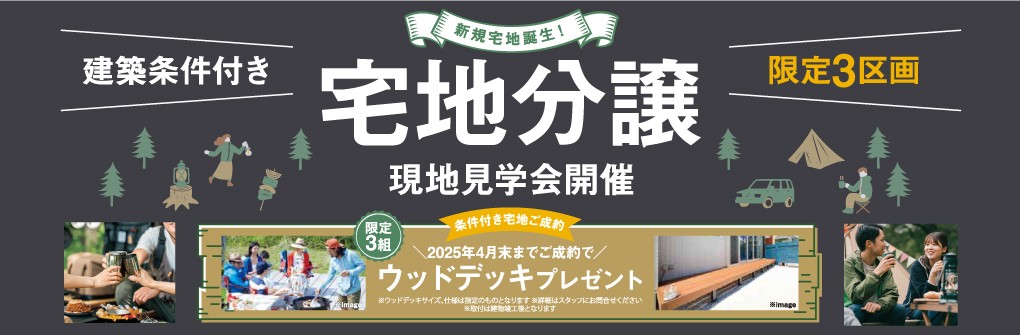 宅地分譲