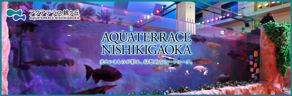アクアテラス錦ケ丘