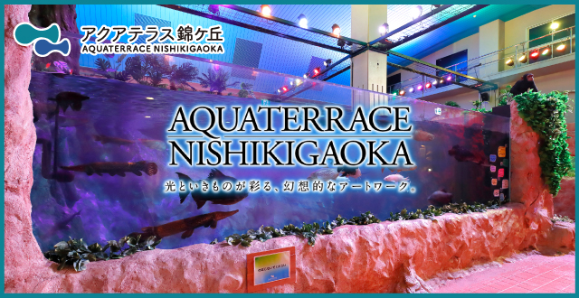 アクアテラス錦ケ丘