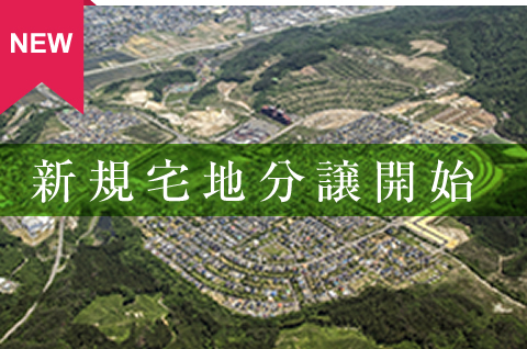 宅地分譲