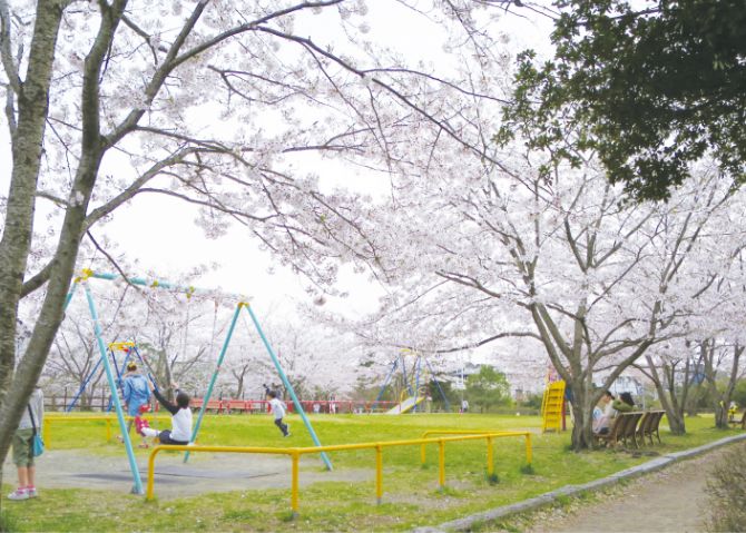 錦ケ丘中央公園