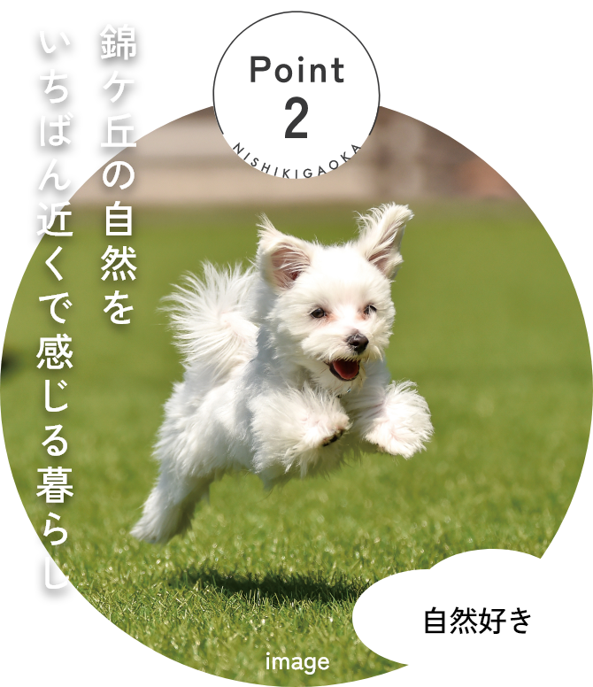 Point2 錦ケ丘の自然をいちばん近くで感じる暮らし/自然好き
