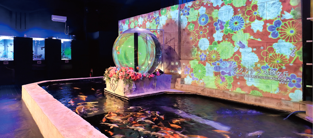 仙台_アクアリウム水族館