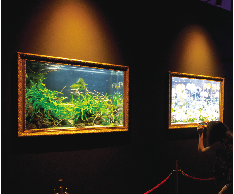 仙台市_水族館