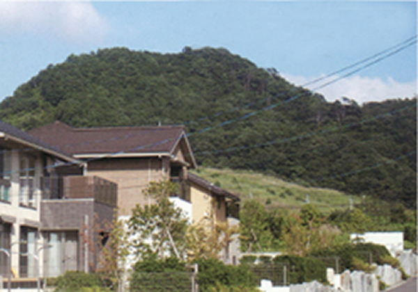 火山岩から成る堅固な地盤活断層からも遠く離れた立地