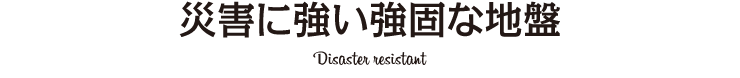 災害に強い強固な地盤